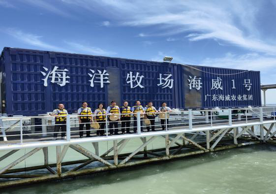 图片19.png 图片19.png