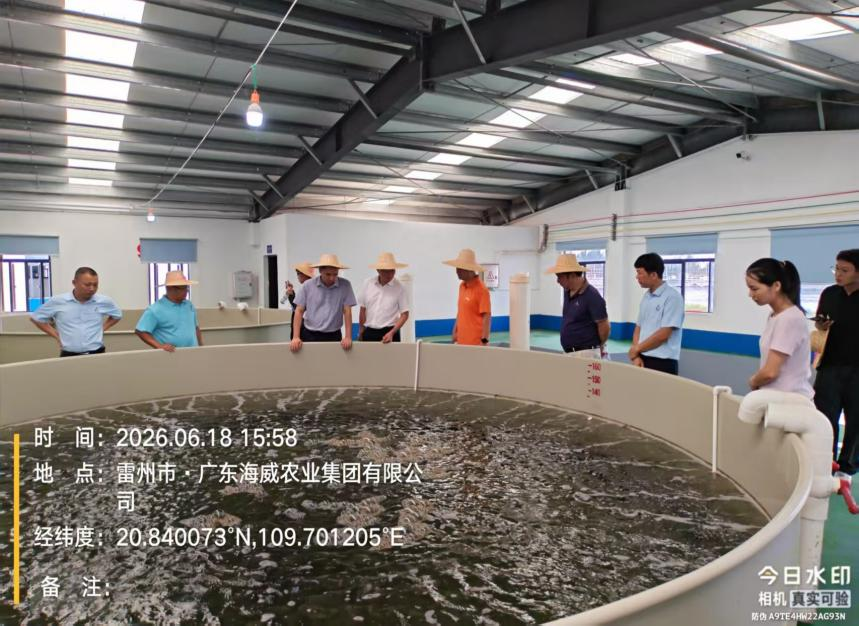 图片20.png